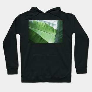 Framework Hoodie